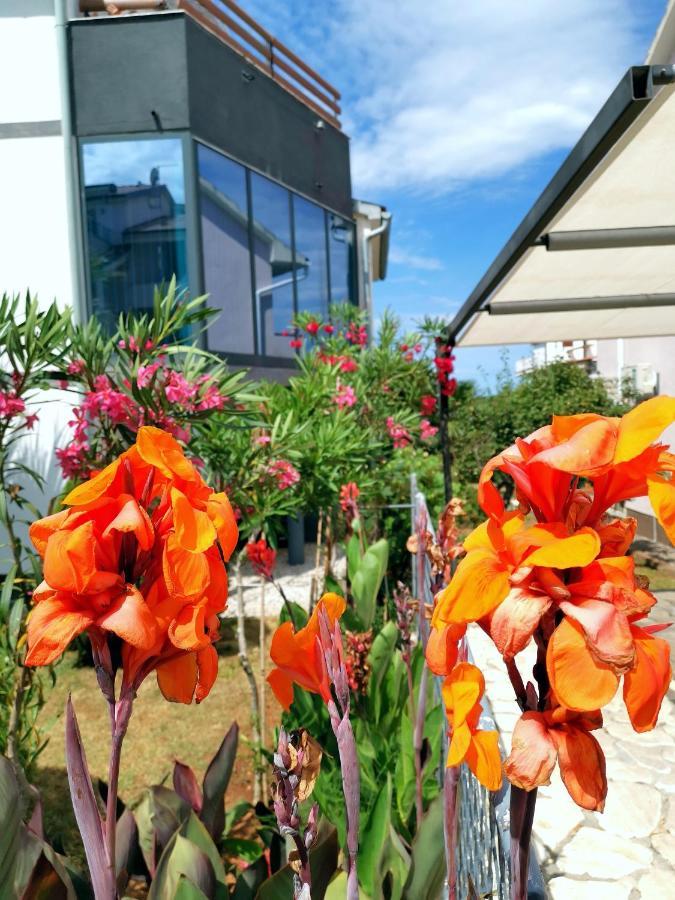 Apartmani Andrea Πούλα Εξωτερικό φωτογραφία