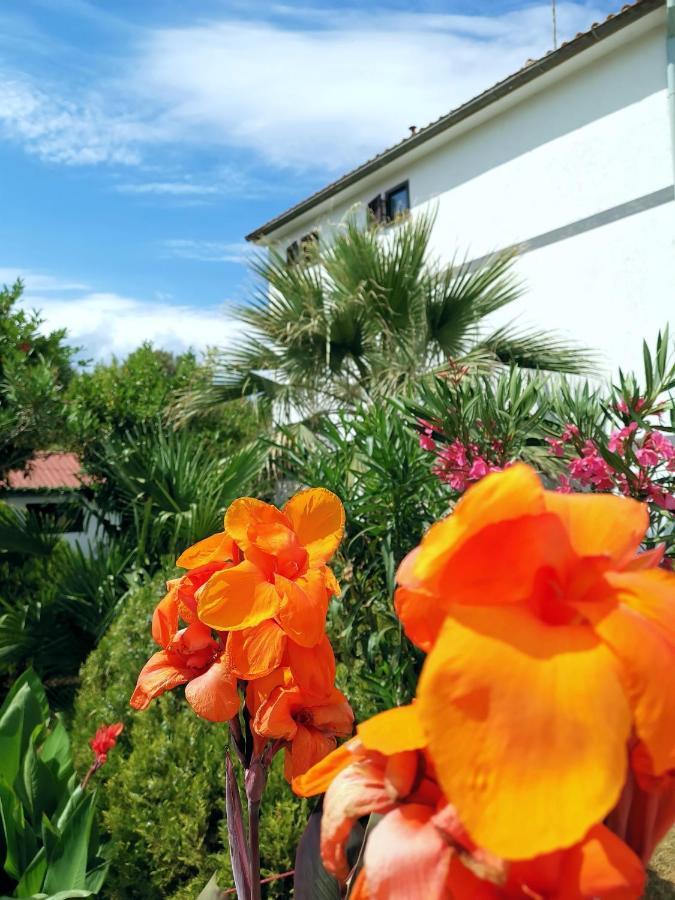 Apartmani Andrea Πούλα Εξωτερικό φωτογραφία